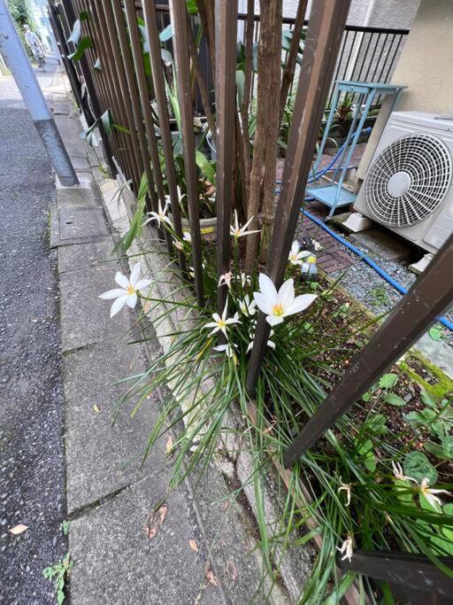 東京芳华驿站 Lägenhet Tokyo prefektur Exteriör bild